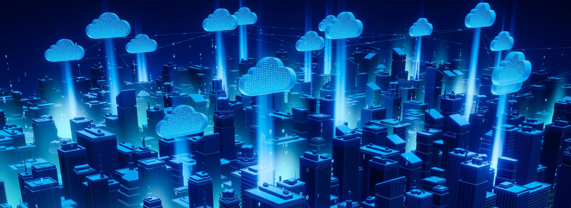 disclaimer-baner-fig-1