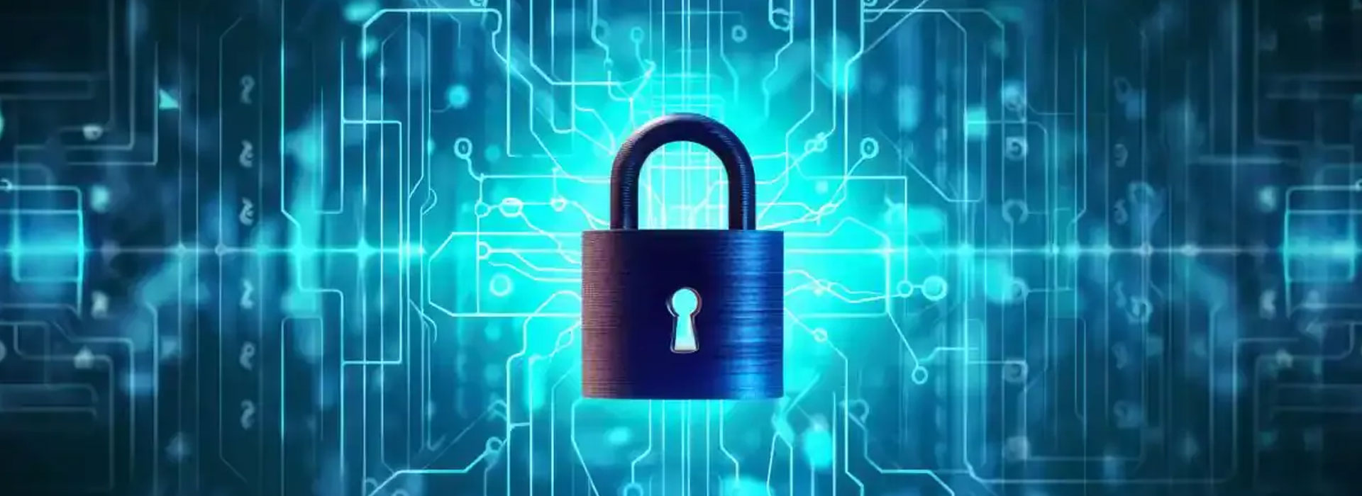 privacy-policy-baner-fig-3